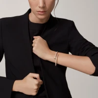 Cartier Juste un Clou