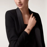 Cartier Juste un Clou