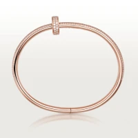 Cartier Juste un Clou