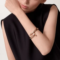 Cartier Juste un Clou
