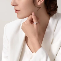 Cartier Juste un Clou