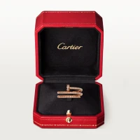 Cartier Juste un Clou