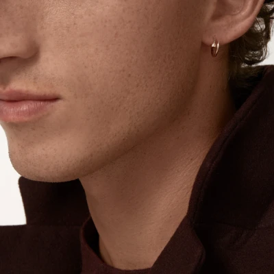 Cartier Juste un Clou