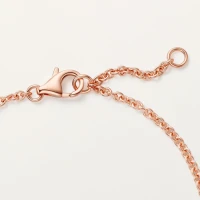 Cartier LOVE Cartier LOVE