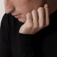 Cartier Maillon Panthère