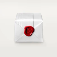 Cartier Maillon Panthère