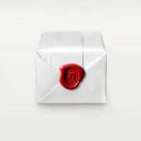 Cartier Maillon Panthère