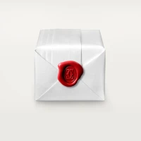 Cartier Maillon Panthère