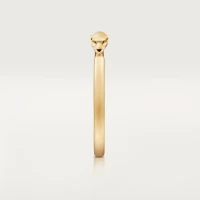 Cartier Panthere de Cartier