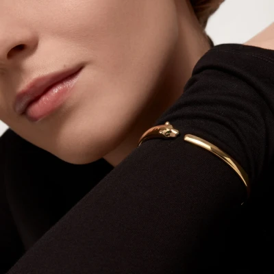 Cartier Panthere de Cartier Cartier Panthere de Cartier