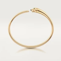 Cartier Panthere de Cartier Cartier Panthere de Cartier