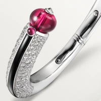 Cartier Creative Collection