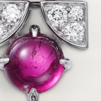 Cartier Creative Collection