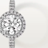 Cartier Cartier Destinée