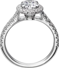 Cartier Cartier Destinée