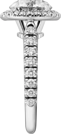 Cartier Cartier Destinée