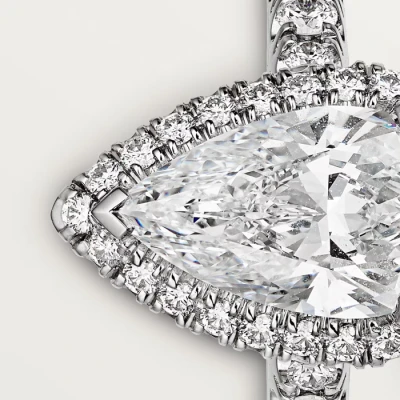 Cartier Cartier Destinée