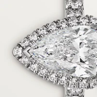 Cartier Cartier Destinée