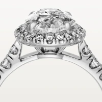 Cartier Cartier Destinée