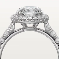 Cartier Cartier Destinée