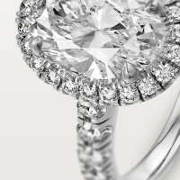 Cartier Cartier Destinée