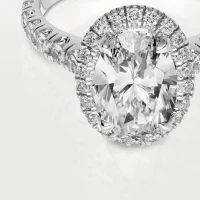 Cartier Cartier Destinée