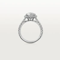 Cartier Cartier Destinée