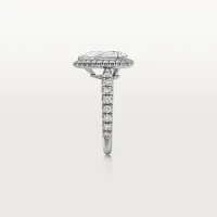 Cartier Cartier Destinée