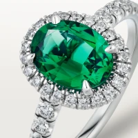 Cartier Cartier Destinée