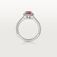 Cartier Cartier Destinée