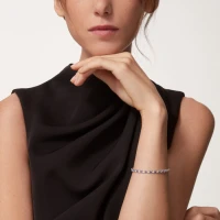 Cartier Essential Lines