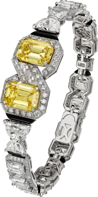 Cartier High Jewerly