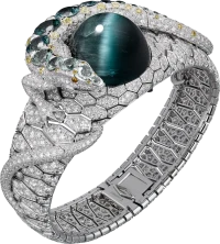 Cartier High Jewerly Cartier High Jewerly