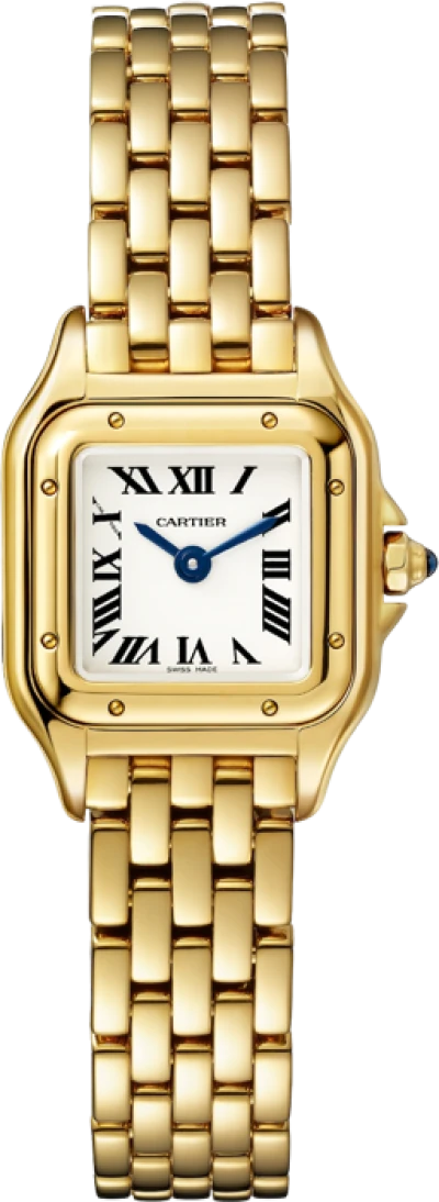 Cartier Panthere de Cartier