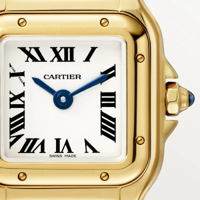 Cartier Panthere de Cartier