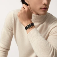 Cartier Tank Louis Cartier watch Cartier Tank Louis Cartier watch