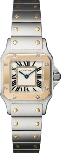 Cartier Santos de Cartier Cartier Santos de Cartier