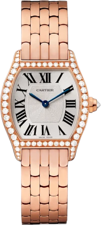 Cartier Tortue Cartier Tortue
