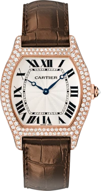 Cartier Tortue Cartier Tortue