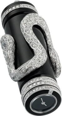 Cartier Creative jewelry watches Cartier Creative jewelry watches