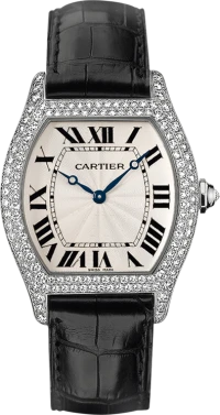 Cartier Tortue Cartier Tortue