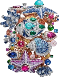 Bvlgari Jewelry watches Bvlgari Jewelry watches
