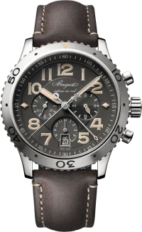 Breguet Type XX / Type XXI Breguet Type XX / Type XXI