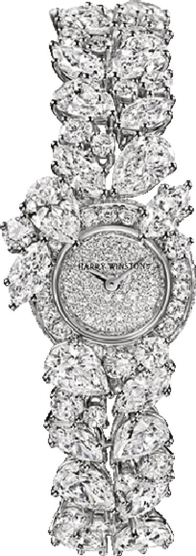 Harry Winston