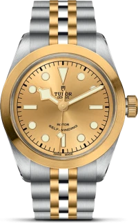 Tudor Black Bay 36 Tudor Black Bay 36