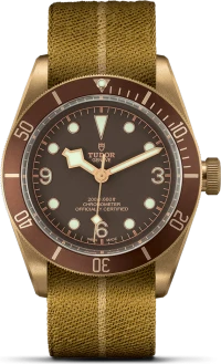 Tudor Black Bay Bronze Tudor Black Bay Bronze