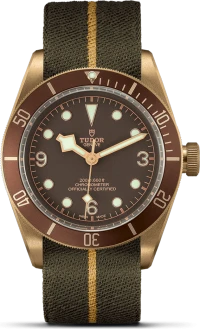 Tudor Black Bay Bronze Tudor Black Bay Bronze