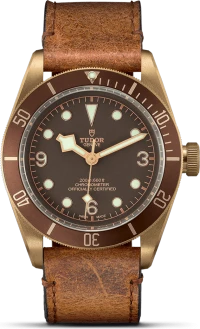 Tudor Black Bay Bronze Tudor Black Bay Bronze