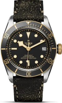 Tudor Black Bay S&G Tudor Black Bay S&G