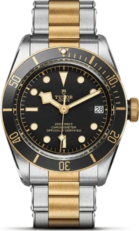 Tudor Black Bay S&G Tudor Black Bay S&G